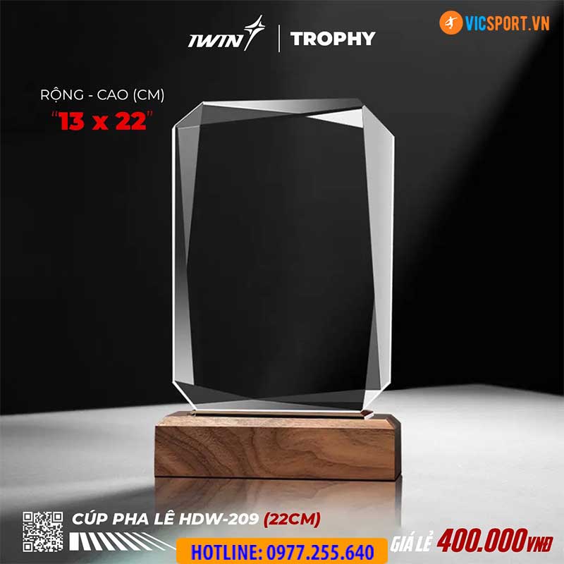 Kỷ niệm chương pha lê iWin (nhiều mẫu) - Hình ảnh 13