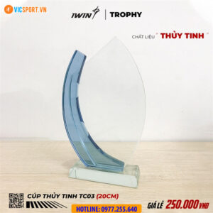 Kỷ niệm chương thuỷ tinh iWin