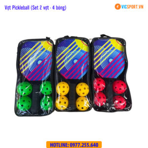 Set vợt Pickleball cho người tập chơi (2 vợt + 4 bóng)
