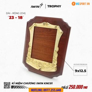 Kỷ niệm chương gỗ iWin KNC01