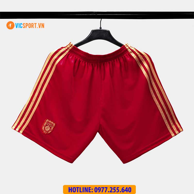 Áo đá banh Strivend Clb Bayern Muchen mùa giải 2025-2026 - Hình ảnh 35