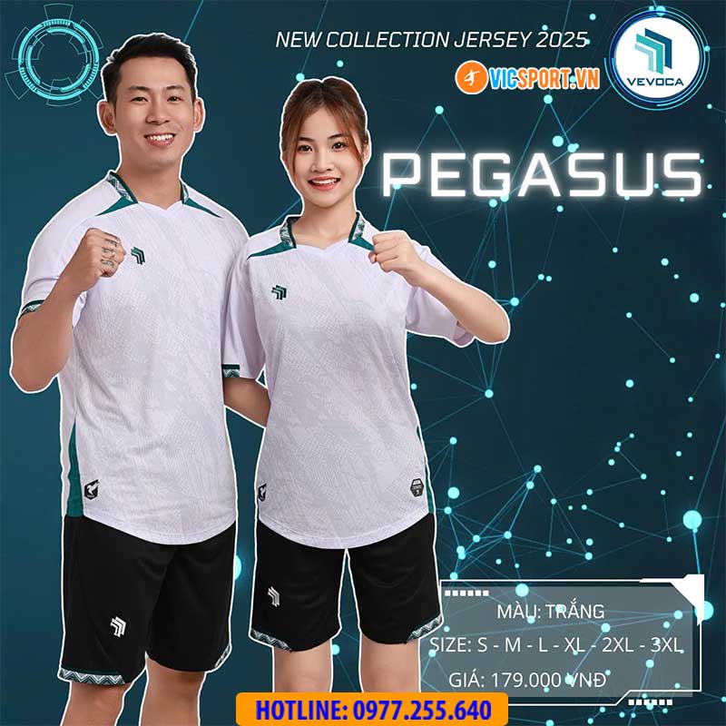 Áo đá banh không logo Vevoca Pegasus - Hình ảnh 18