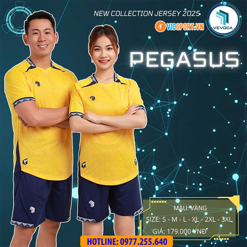 Áo đá banh không logo Vevoca Pegasus - Hình ảnh 19