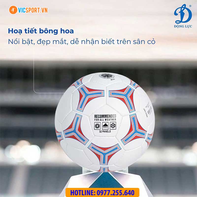 Tổng hợp Quả bóng đá Động Lực số 4 - Hình ảnh 22