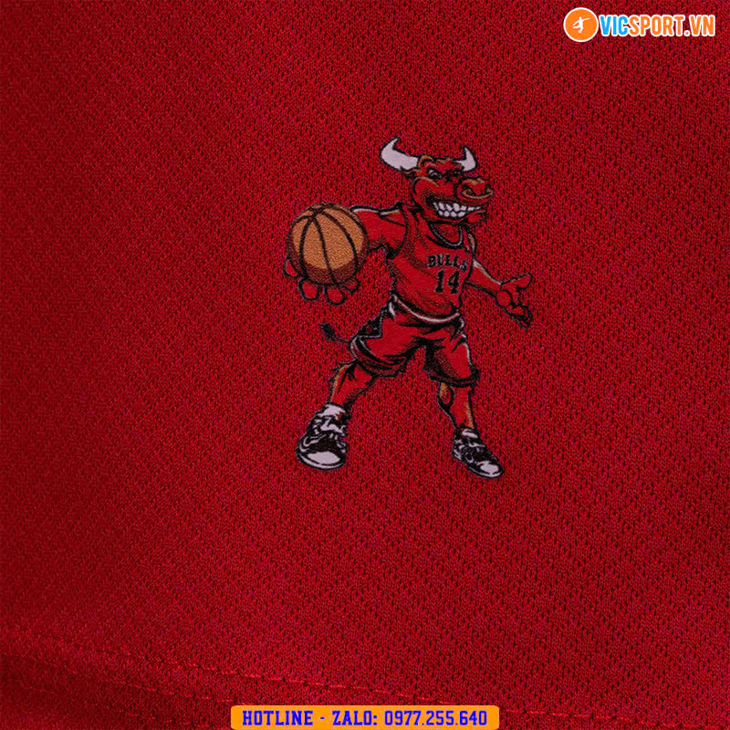 Quần áo bóng rổ trẻ em Strivend Chicago Bulls - Hình ảnh 10