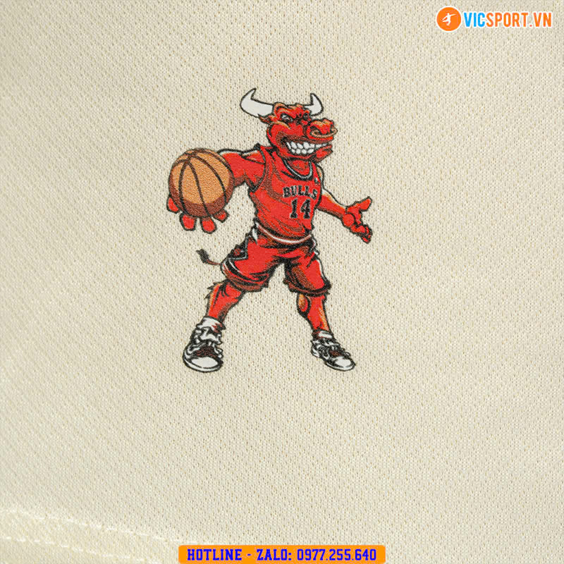 Quần áo bóng rổ trẻ em Strivend Chicago Bulls - Hình ảnh 9