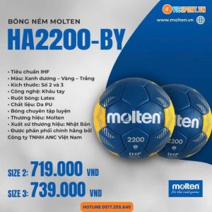 Quả bóng ném Molten HA2200-BY