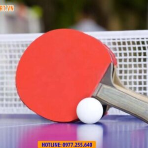 Quả bóng bàn FH BB