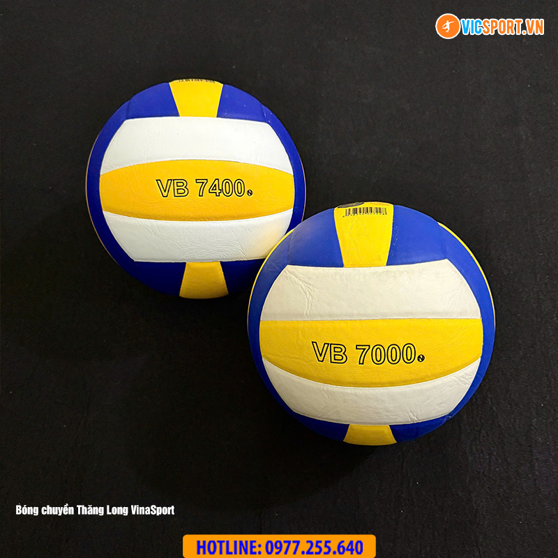 Tổng hợp Quả bóng chuyền Thăng Long nhà Vinasport - Hình ảnh 19