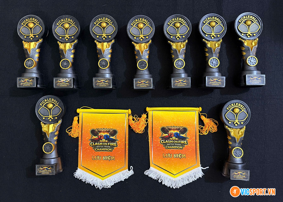 Cúp pickleball iWin Pick10 - Hình ảnh 16