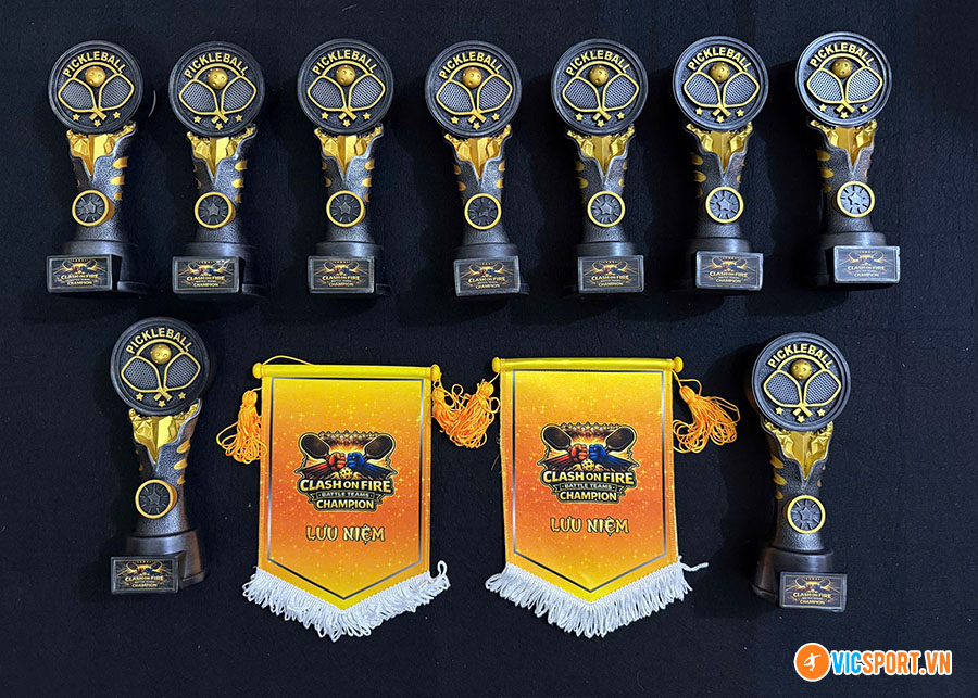 Cúp pickleball iWin Pick10 - Hình ảnh 6