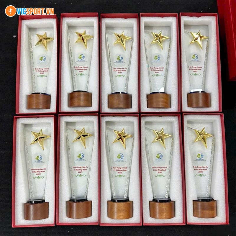 Kỷ niệm chương pha lê DG511 đế gỗ - Hình ảnh 7