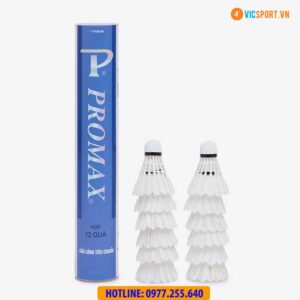 Hộp quả cầu lông tập luyện Promax PR-640