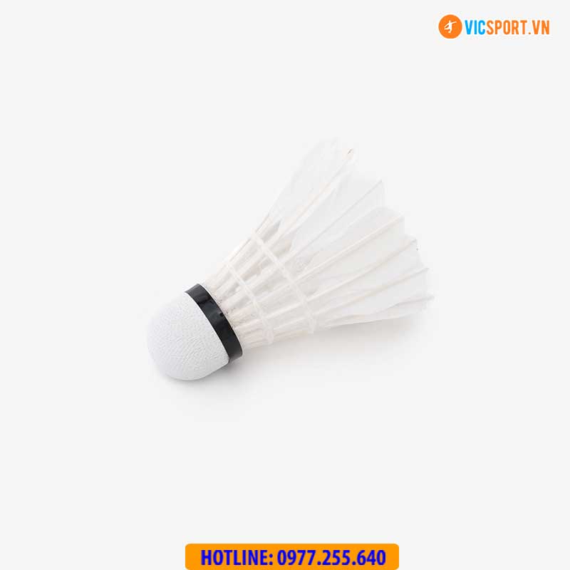 Hộp quả cầu lông tập luyện Promax PR-640 - Hình ảnh 6