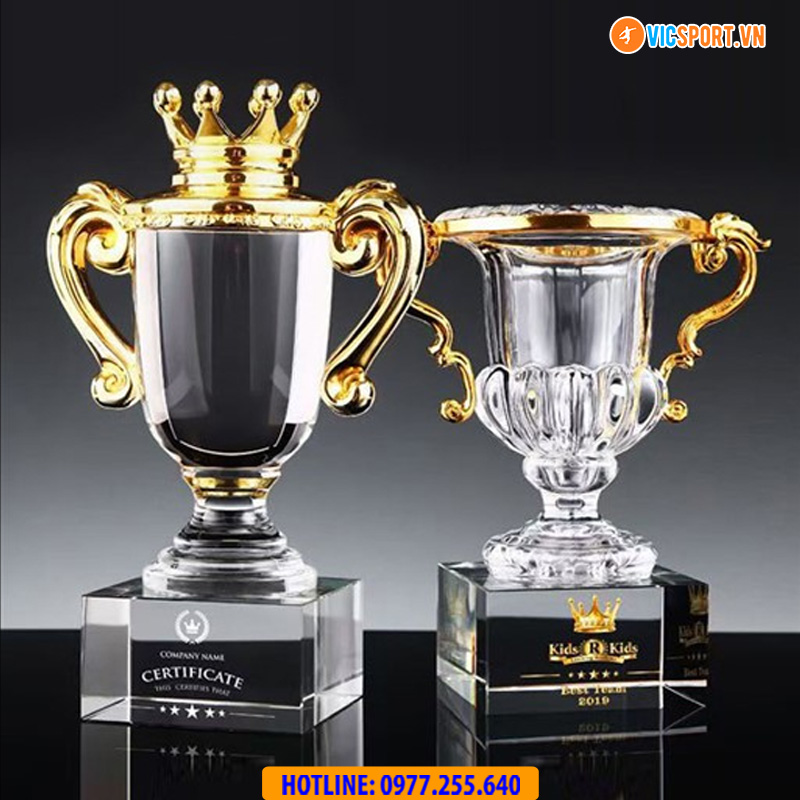 Cúp pha lê vương miện VIC7968 - Hình ảnh 26