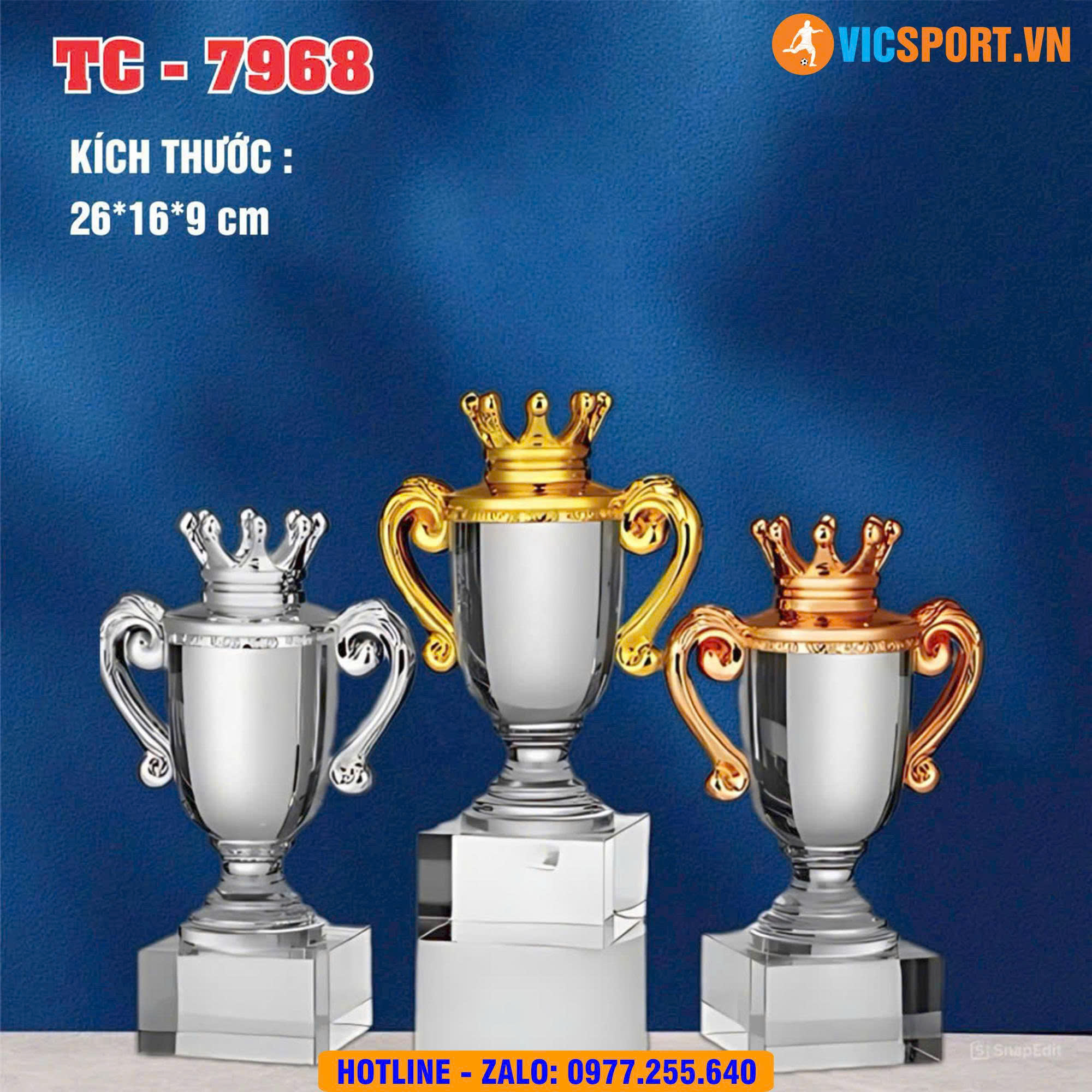 Cúp pha lê vương miện VIC7968 - Hình ảnh 9
