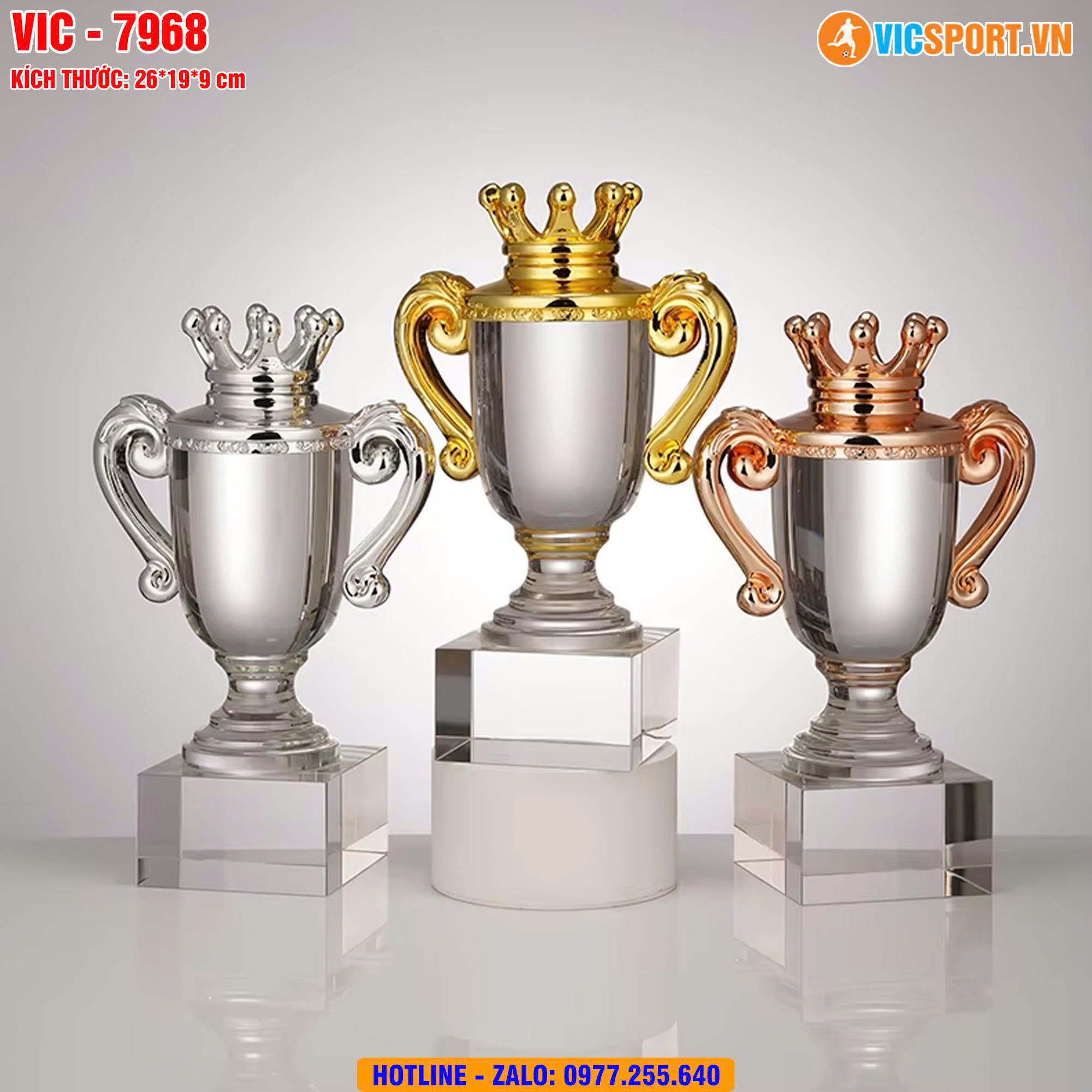 Cúp pha lê vương miện VIC7968 - Hình ảnh 23
