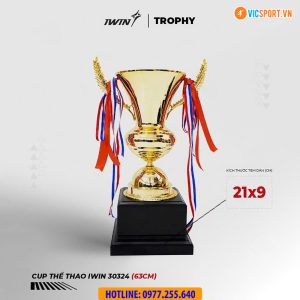 Cúp thể thao kim loại lớn iWin 30324