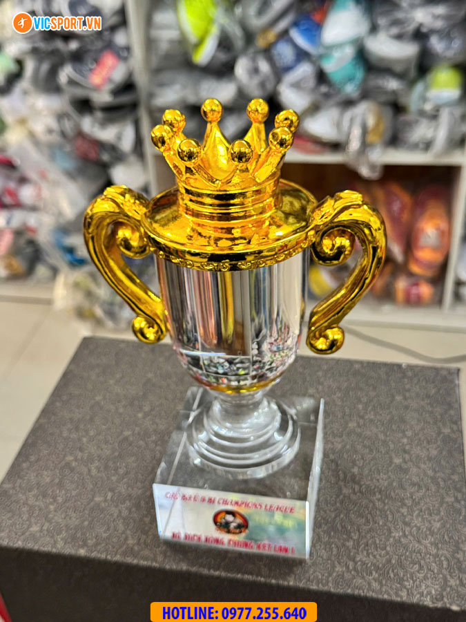 Cúp pha lê vương miện VIC7968 - Hình ảnh 20